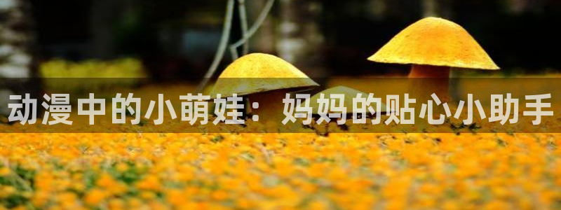 51动漫动漫