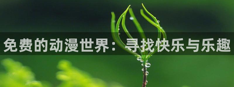 51动漫免费观看