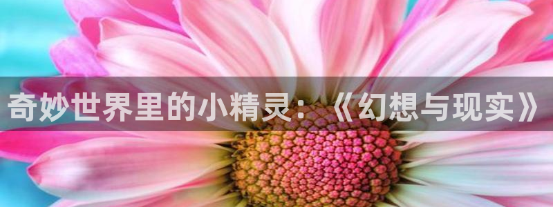 51动漫新版本