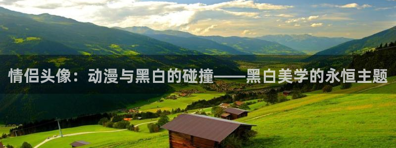 51动漫在线观看免费